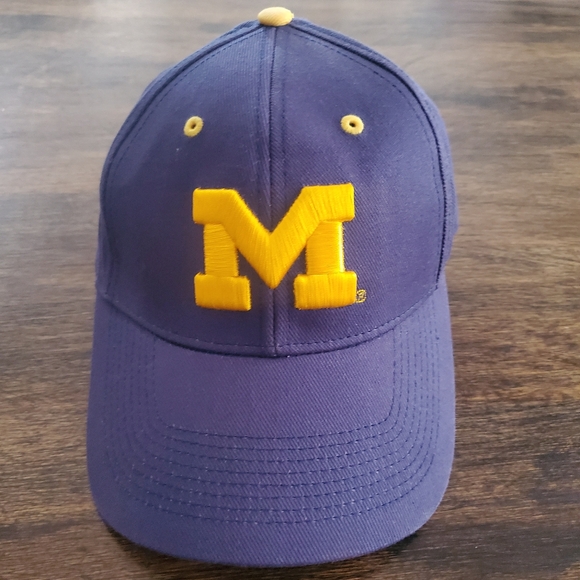 Michigan Wolverines Embroidered‎ Adjustable Cap/Hat, ESPN College Game Day - Picture 2 of 10